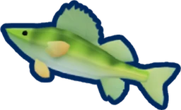 Perch