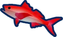 Queen Snapper