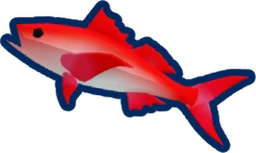 Queen Snapper