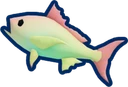 Rainbow Snapper