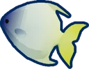 Reef Fish
