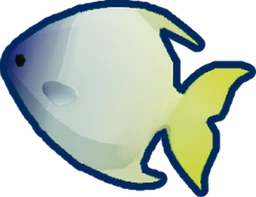 Reef Fish