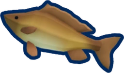 River Carp