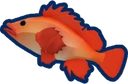 Rockfish