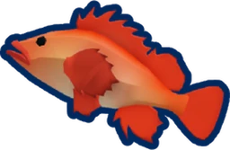 Rockfish