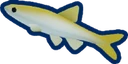 Sand Minnow