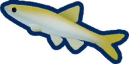 Sand Minnow