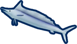 Shortbill Spearfish