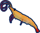 Shrimp