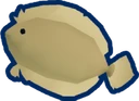 Summer Flounder