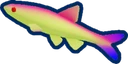 Sunset Minnow