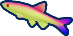Sunset Minnow