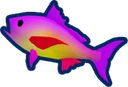 Sunset Snapper