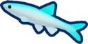 Verdant Minnow