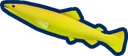 Yellow Loach