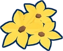 Flowers I