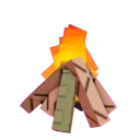Bonfire