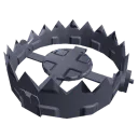 Common Bear Trap