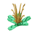Baby Cactus