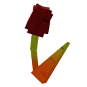 Maple Tulip
