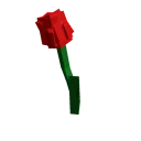 Tulip