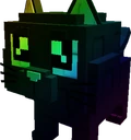 Rainbow Big Black Cat