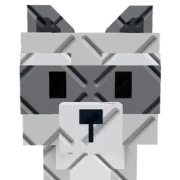 Big Raccoon