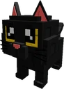 Black Cat
