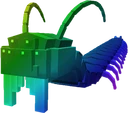 Rainbow Centipede