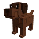 Chocolate Lab