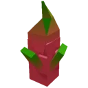 Dragon Fruit
