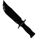 Coal