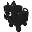 Black Cat