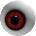 Eyeball
