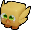 Chick