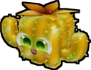 Golden Happy Cactus