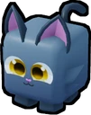 Kitty