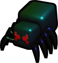 Rainbow Mycelium Spider